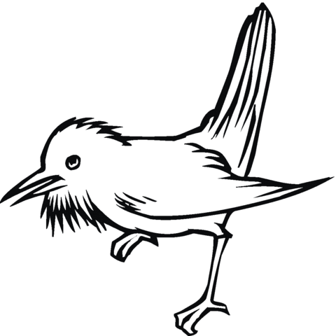 Thrush Bird Coloring Page